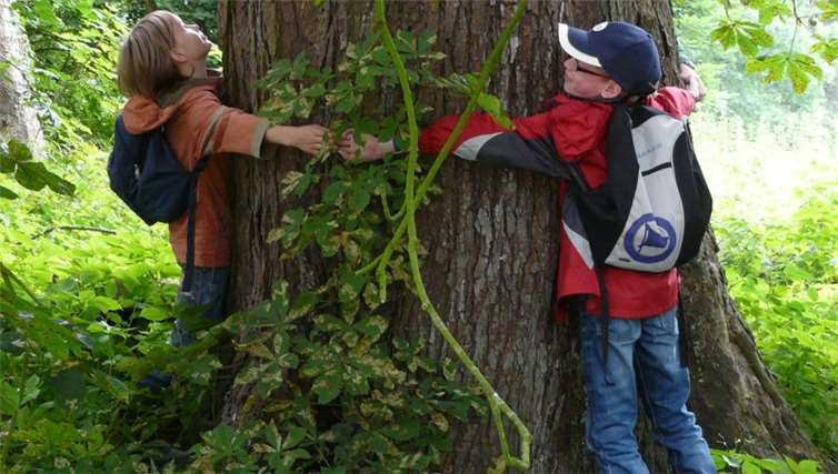 Die Walderlebnisspiele bringen den jungen Teilnehmer viel über den Wald bei. privat