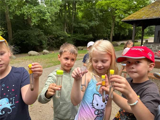 Die Waldwoche bot den Kindern auch Raum zum Forschen und Entdecken.