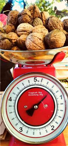 Die Walnüsse wurden abgewogen.