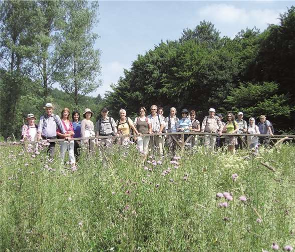 Die Wanderer beim TV Remagen unterwegs im Sahrbachtal.privat