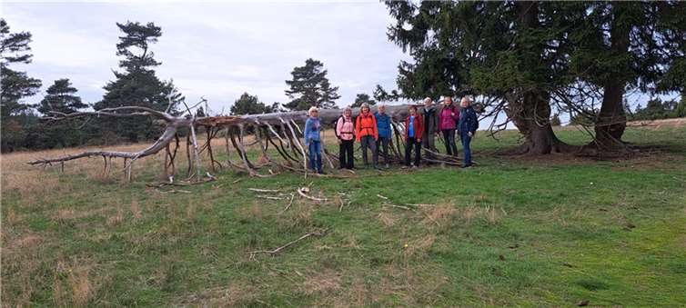 Die Wanderer des Freizeit- und Gymnastikverein Alken. Foto: privat