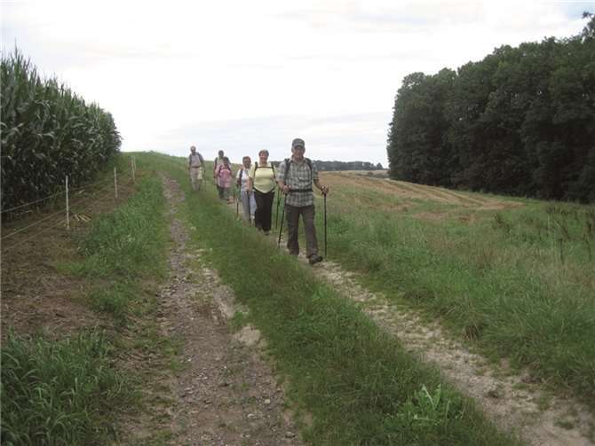 Die Wanderer des TV Remagens auf dem Weg Richtung "Auf Wallers". privat