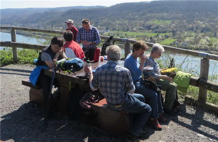 Die Wanderer konnten herrliche Ausblicke auf den Rhein genießen.