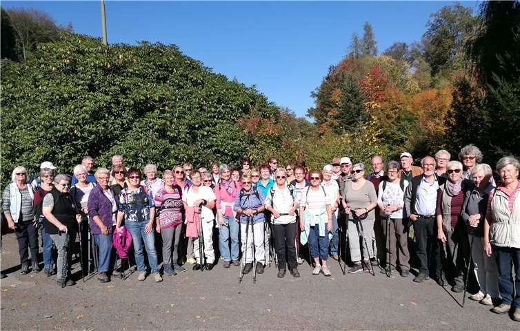 Die Wanderfreunde des Eifelvereins Andernach blicken auf eine stimmungsvolle Wanderung im Westerwald zurück. Foto: privat