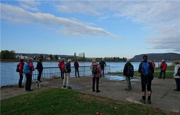Die Wanderfreunde des Eifelvereins Sinzig waren auf der anderen Rheinseite unterwegs. Foto: privat