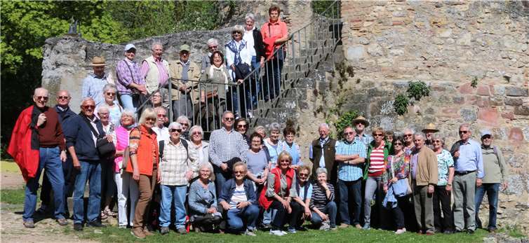 Die Wanderfreunde erkundeten bei ihrer Stadtführung auch die Burgruine Landskron.  privat