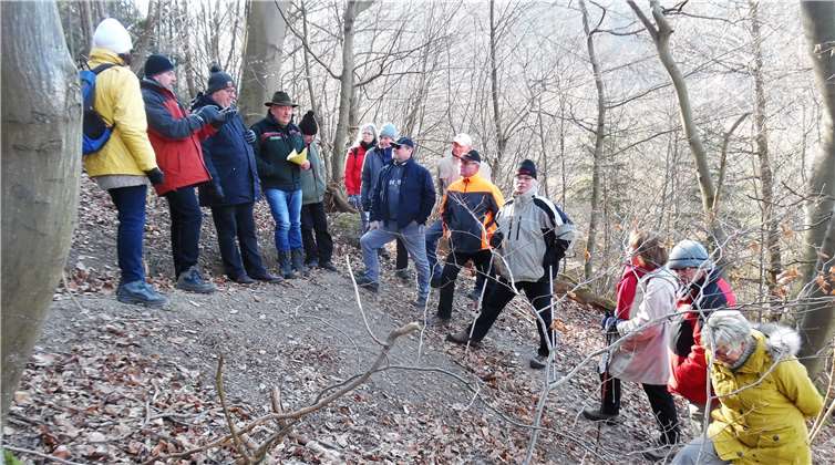Die Wandergruppe am Beginn der Wanderung noch auf der „Taunusklub-Serpentine“. Privat