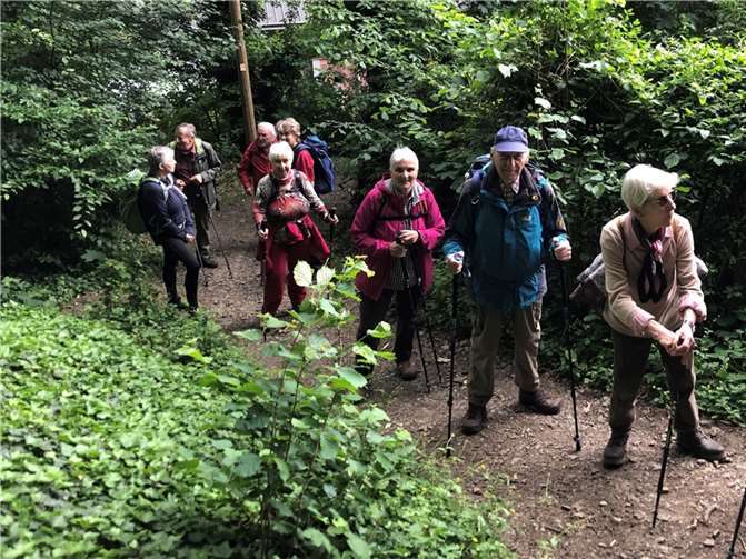 Die Wandergruppe auf dem Weg. Foto: privat
