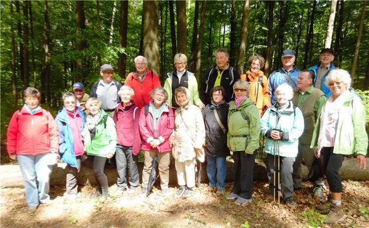 Die Wandergruppe auf dem Weg zur wohlverdienten Mittagsrast. Taunusklub