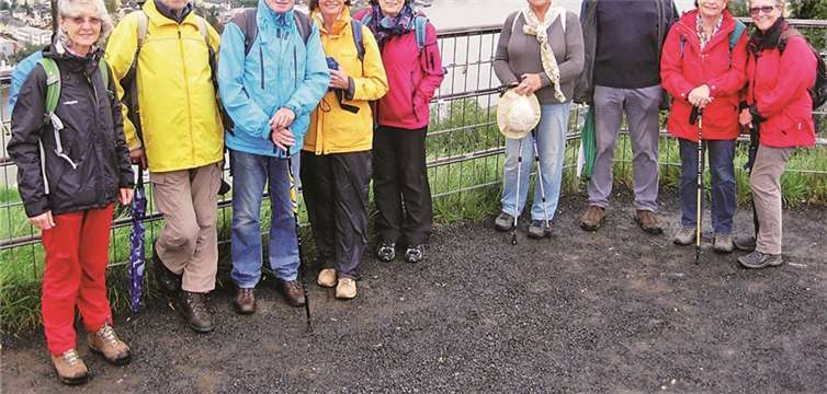 Wanderer entdeckten Admiral 