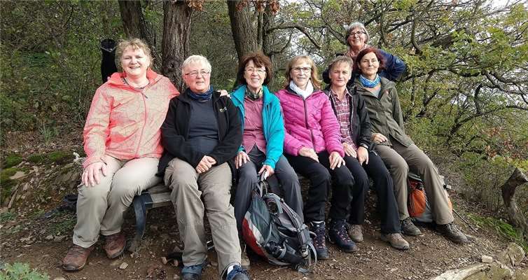 Die Wandergruppe des Freizeit- und Gymnastikvereins Alken.Foto: privat