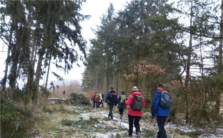 Die Wandergruppe im Winterwald.privat