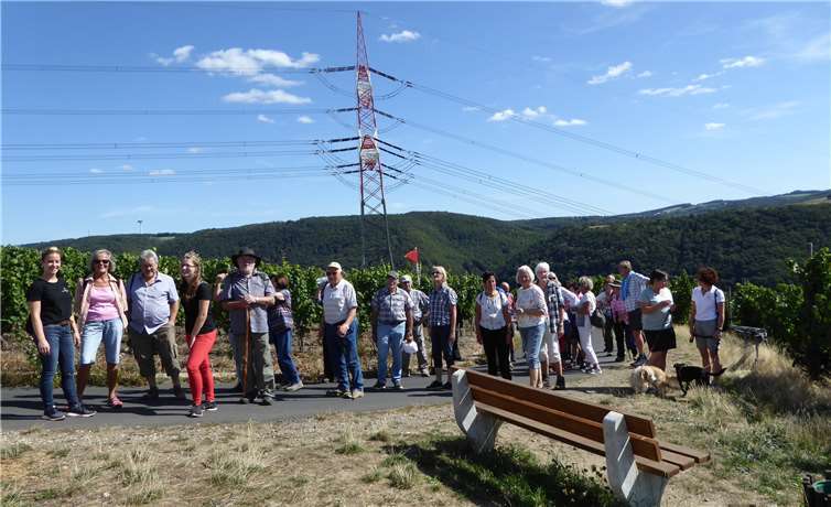 Die Wandergruppe oberhalb von Winningen.Foto: privat