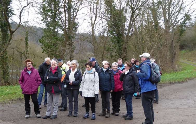 Die Wandergruppe über den Höhen von Niederfell. Foto: privat