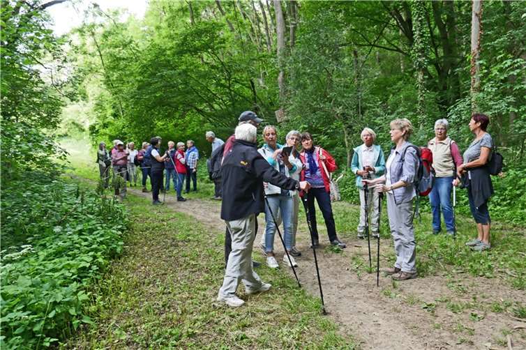 Die Wanderinnen und Wanderer von plus/minus 60 aktiv. Foto: privat