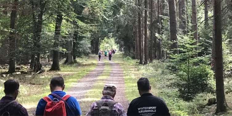 Die Wanderstrecke führet durch den Wald. Foto: privat