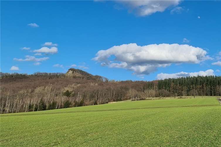 Die Wanderung bietet eine Kombination aus landschaftlicher Vielfalt, regionaler Geschichte und außergewöhnlichen Zwischenstopps.Foto: Typisch Westerwald