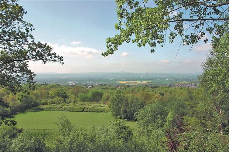 Die Wanderung bietet einen tollen Blick ins Neuwieder Becken. privat