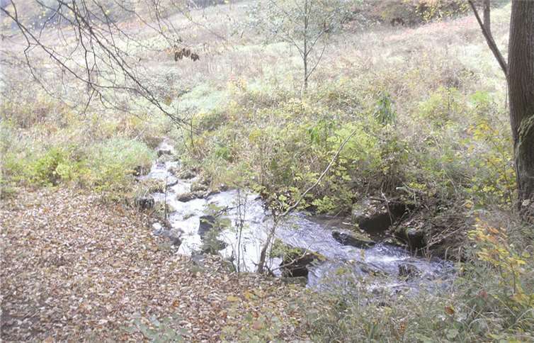 Die Wanderung durch idyllische Bachtäler, urwüchsige Wiesen und Auen, durch farbenfrohe Herbstwälder und vorbei an Relikten des Erzabbaus war für alle Teilnehmer der Wanderung ein Erlebnis. Privat
