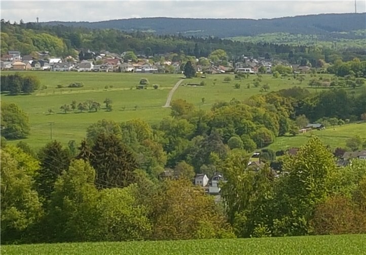 Die Wanderung führt über die Anhöhe über Alsbach zum Aussichtspunkt „Köppel“. Foto: privat