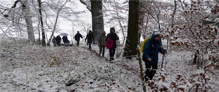 Die Wanderung führte durch den verschneiten Wald.Günter Hussong