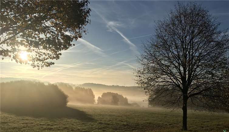 Die Wanderungen starten jeweils um 10 Uhr morgens. Foto: Rainer Lemmer
