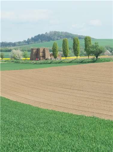 Die Wegetrasse bietet auch diese Aussicht auf den alten Polcher Weg und den Karmelenberg. Foto: privat