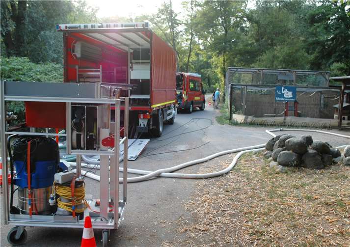 Die Wehr bei ein ihrem etwas anderen Einsatz am Schwanenteich.