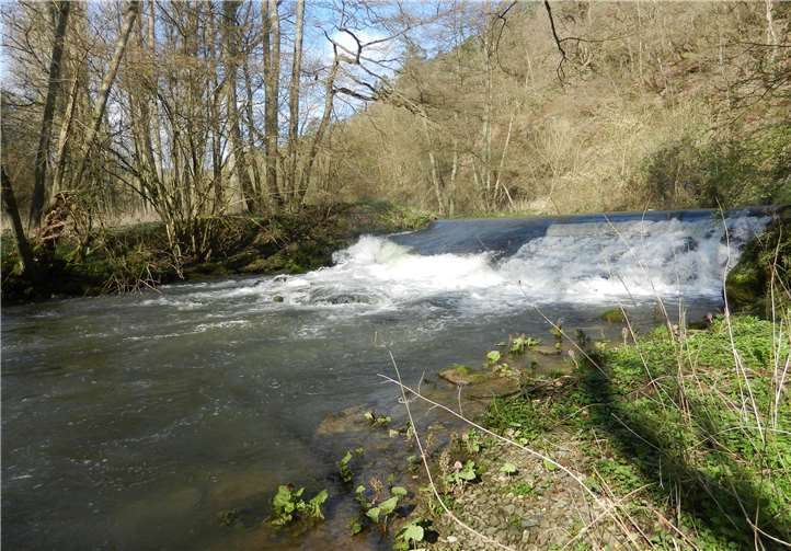 Die Wehranlage Geringer Mühle. Foto: Kreisverwaltung Mayen-Koblenz