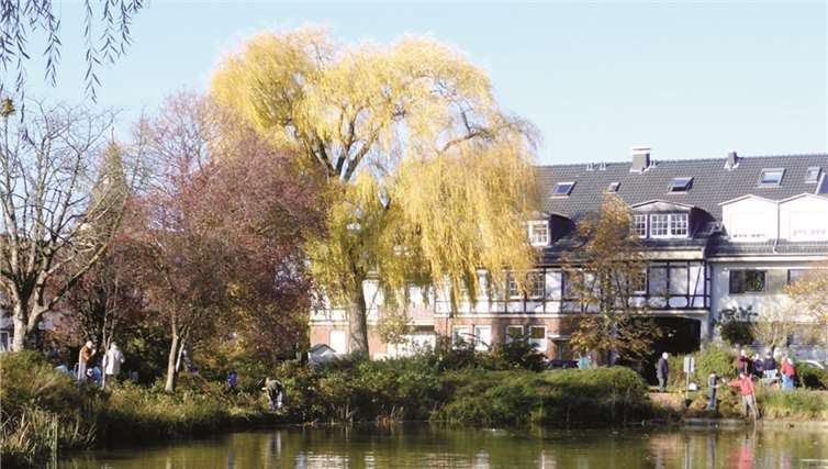 Die Weide ist von einem Pilz befallen, dessen Myzel bereits die für das Sprosswachstum wichtige Wachstumsschicht unter der Rinde befallen hat.privat