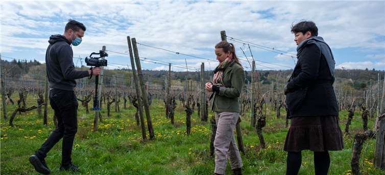 Die Weinberge im Ahrtal bieten eine herrliche Kulisse.