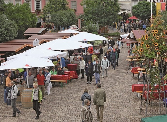 Die Weininteressierten gingen von Stand zu Stand und suchen das Gespräch mit den Winzern. BÜN