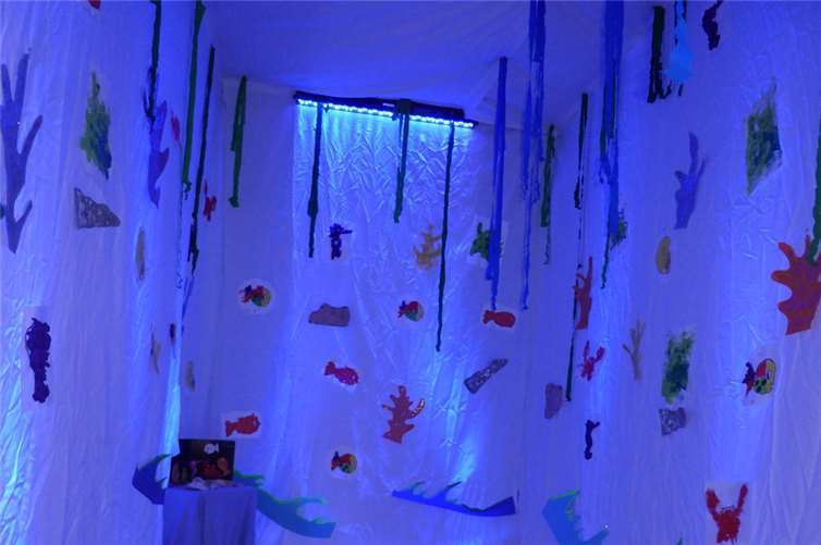 Die Werke der "Unterwasserwelt wurden in einem umgestalteten Nebenraum ausgestellt.