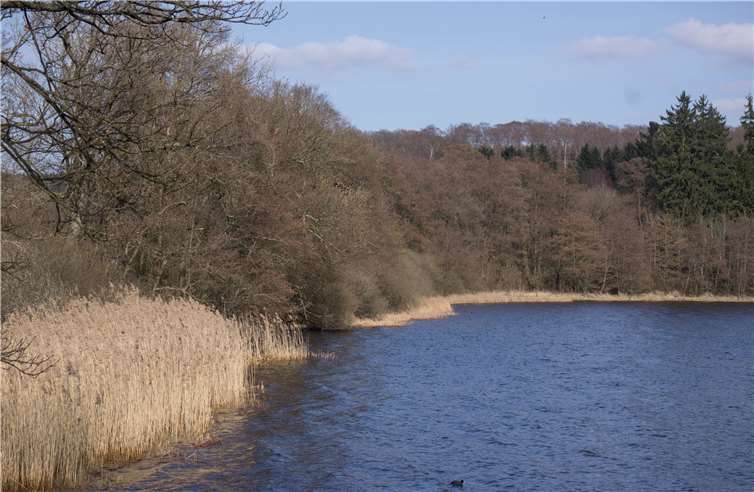 Die Westerwälder Seenplatte. Pressestelle des Westerwaldkreises