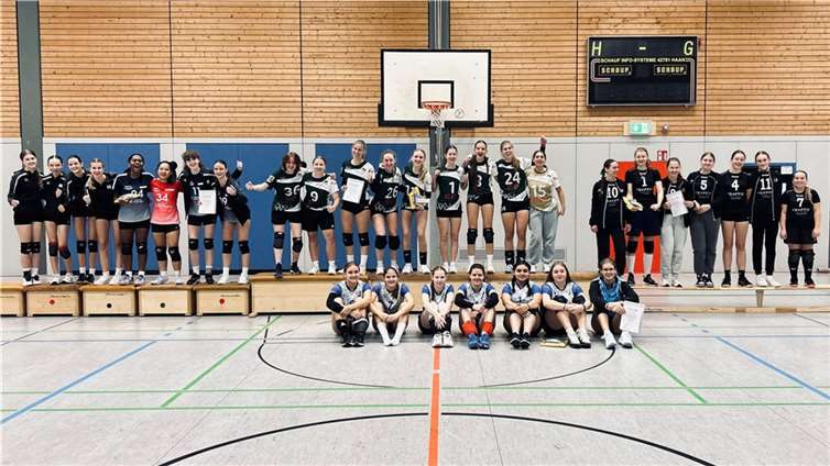 Die Westerwald Volleys. Quelle: Westerwald Volleys