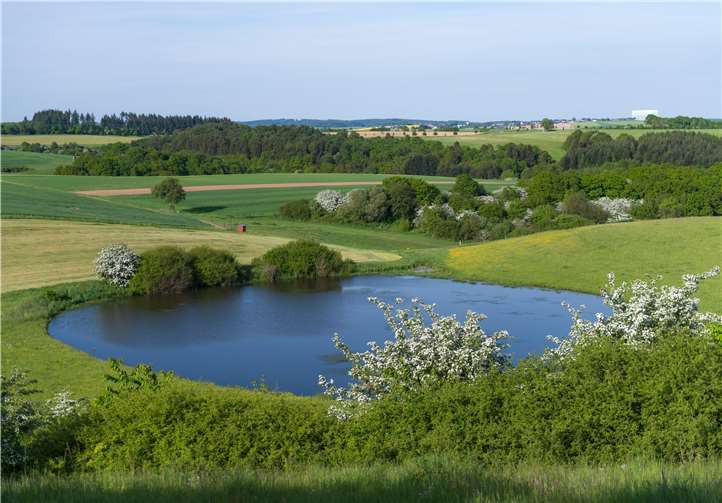 Die Wiedervernässung des Trautzberger Maares im Jahr 2014 ist ein Beispiel für die Reaktivierung von Torfwachstum zur Kohlenstoffspeicherung in Feuchtgebieten mit gleichzeitigem Nutzen für die Biodiversität. Eine Solche Maßnahme soll im Natur- und UNESCO Geopark Vulkaneifel mit Unterstützung der SGD Nord im Rahmen von ZENAPA wiederholt werden.Archiv Natur- und Geopark Vulkaneifel GmbH