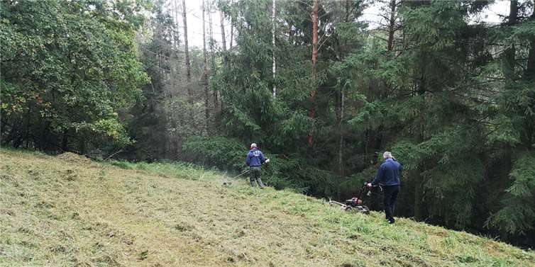 Pflegeeinsatz auf der Orchideenwiese Die Wiese wurde gemäht und das Schnittgut abgetragen.