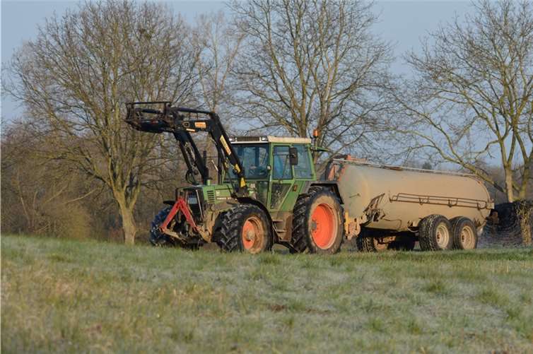 Die Wiesen in der Nähe des Rhein sind landwirtschaftliche Flächen, die zur Futter- und Heuproduktion.von den Landwirten genutzt werden dürfen.CL.