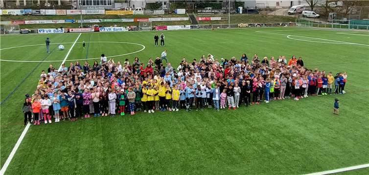 Die Wildvogelstation Kirchwald freut sich über die großzügige Spende der Mendiger Schulgemeinschaft. Fotos: privat
