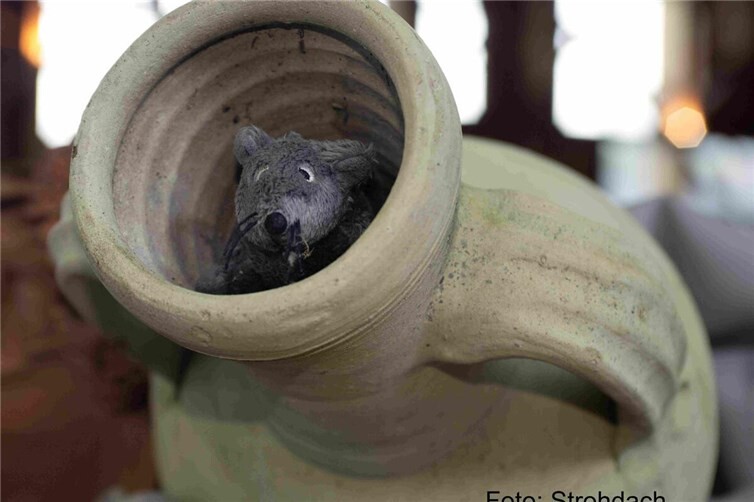 Die Winterpause in der Roemervilla ist vorbei.