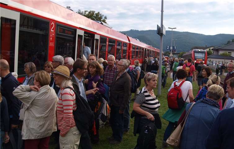 Die Züge der DB schaffen jetzt auch den Massenandrang durch größere Züge überwiegend.Foto: WITE