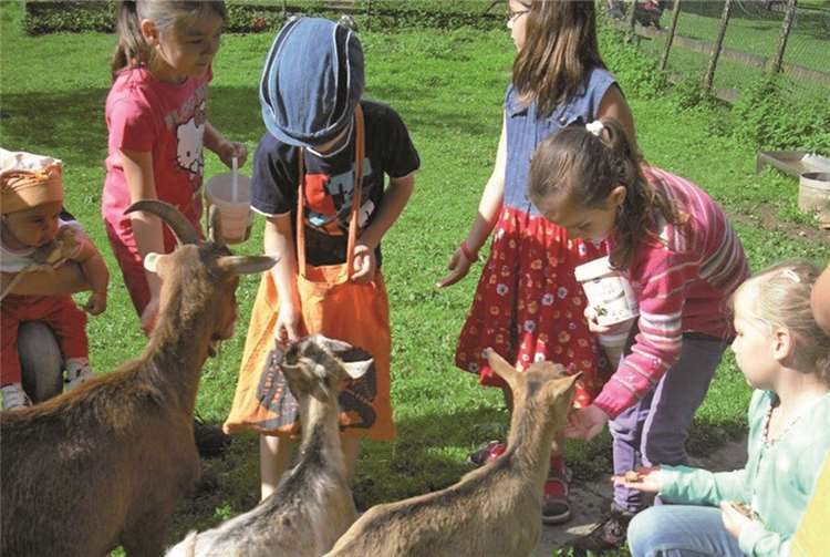 Die Zweitklässler der Regenbogenschule zu Gast beim Schwanenteich Bad Bodendorf.privat