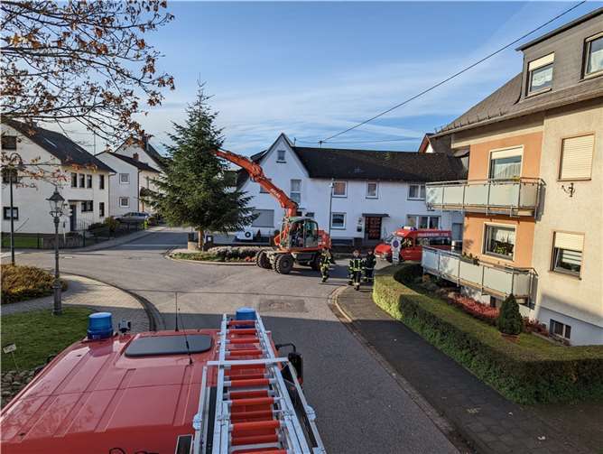 Die acht Meter hohe Tanne wird aufgestellt.
