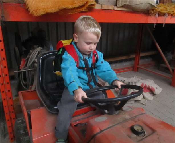 Die ältesten Zottelbärenkinder füllten die Körbe randvoll mit Äpfeln.Jedes Kind durfte auf dem Traktor sitzen und auch mal hupen.