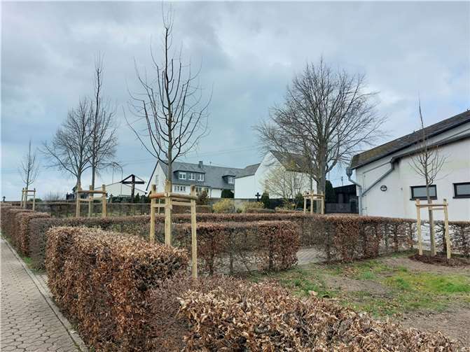 Die aktuellen Baumpflanzungen an den beiden westlich der Friedhofskapelle verlaufenden Friedhofswegen.  Fotos: OG Ochtendung