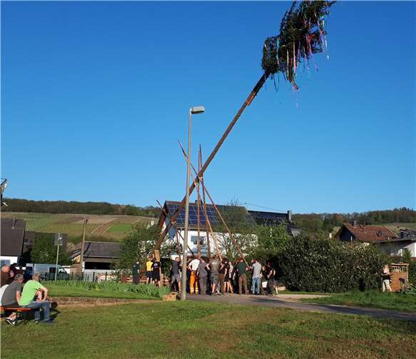 Die aktuellen Junggesellen erhielten tatkräftige Unterstützung durch einige ehemalige.