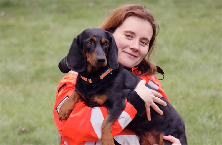 Die alpenländische Dachsbracke Guinan aus Naunheim wurde erfolgreich als Flächensuchhund im Bundesverband Rettungshunde geprüft. Privat