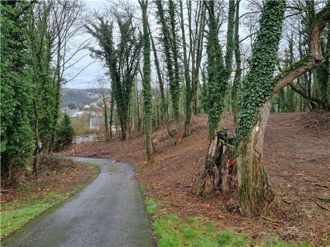 Die alte Zufahrt des Fort Asterstein ist zu steil, sie wird zurückgebaut. Foto: Stadt Koblenz / Michael Karkosch