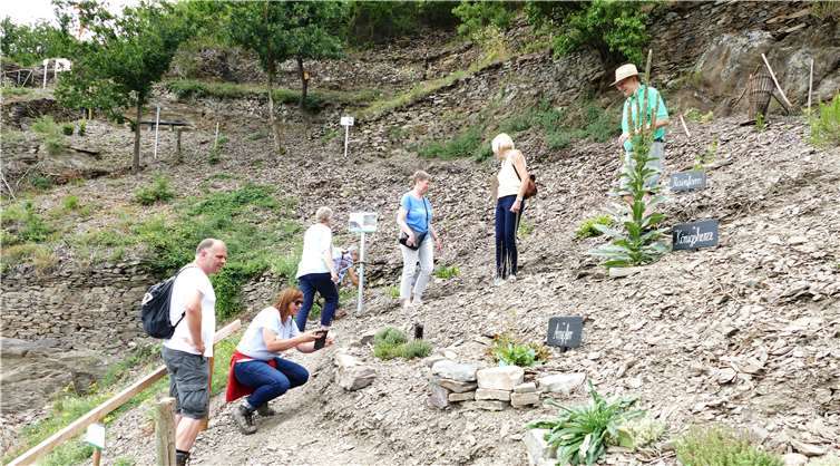Die angebotenen Wanderungen wurden begeistert angenommen.
