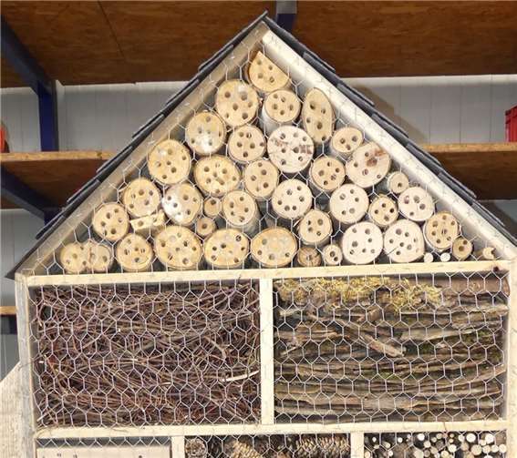 Die auf Anleitung und nach Vorlage trefflich gefertigten Holzhäuschen unterstützen die Population regionaler Insektenvölker.